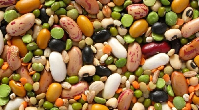 В каких продуктах содержится растительный белок?