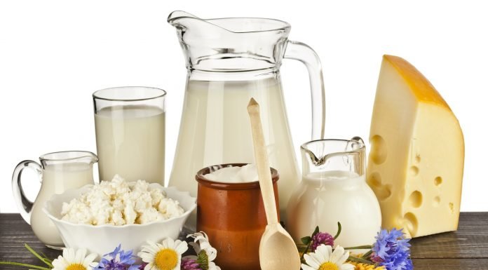 Таблица калорийности молочных продуктов
