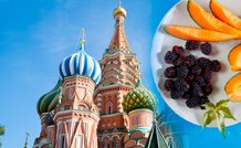 кремлевская диета