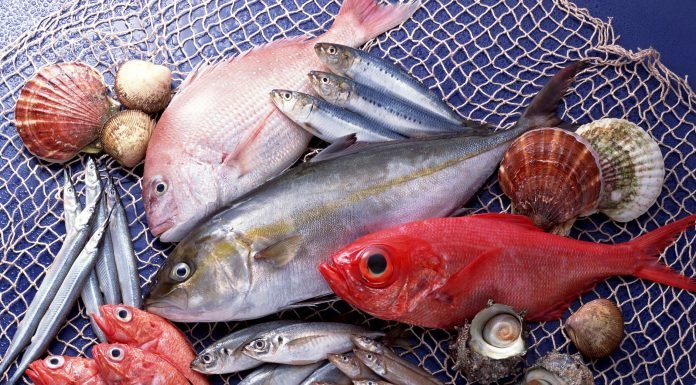 Полная таблица калорийности рыбы и морепродуктов