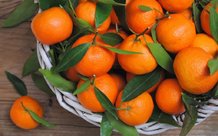 mandarinovaya dieta